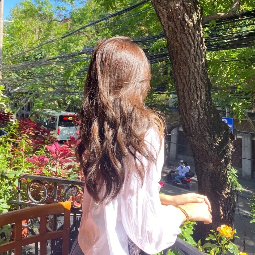 鉴你所见：花露森林